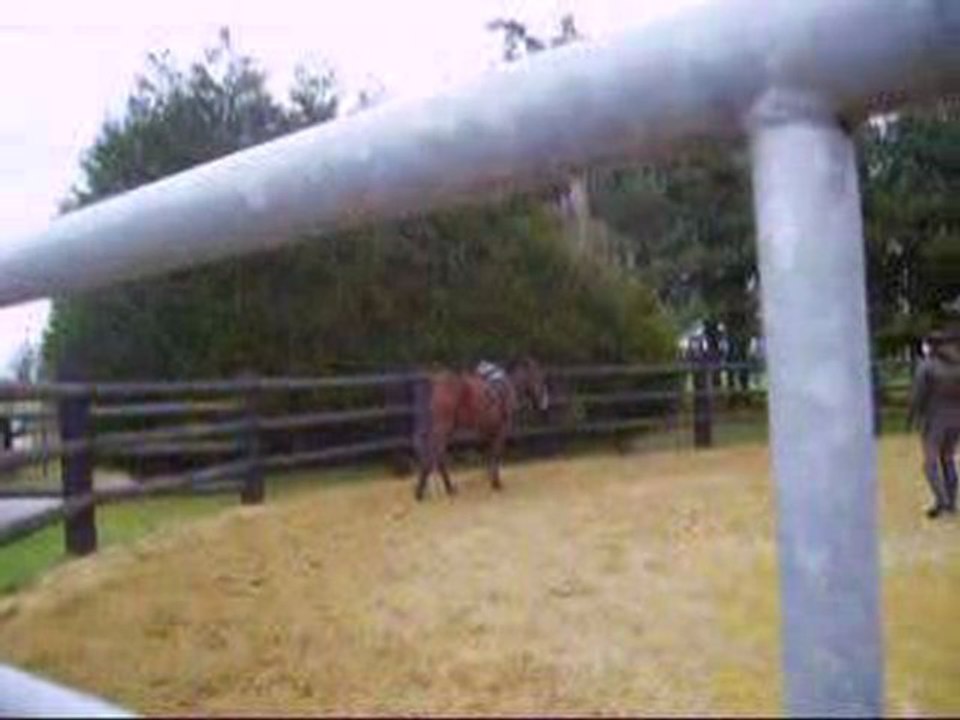 Perlani trotte à gauche