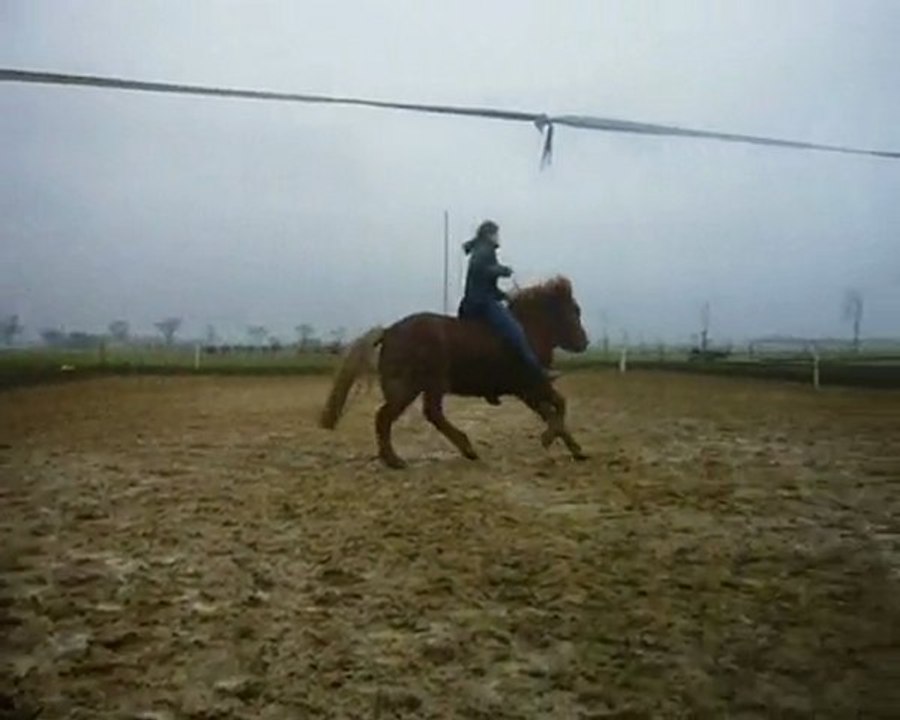 Travail à pied et monté avec Olina 23/01/2010