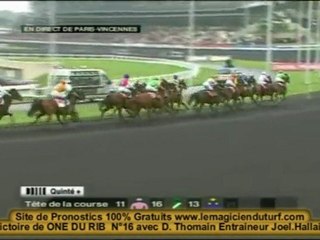 Vidéo Quinté à Vincennes 24 janvier 2010 PRIX DE CORNULIER