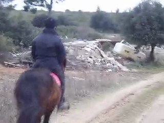 1er Galop de l'année