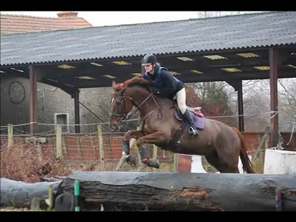 Quiwi Premier Cross Tous Les Deux ♥