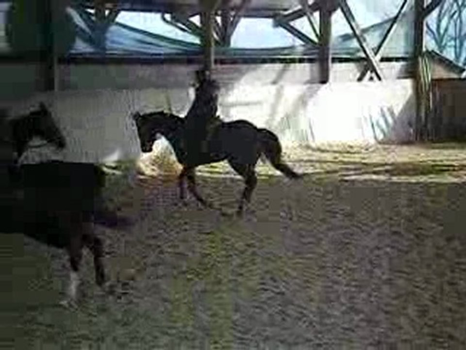 Les progrès de Pépette