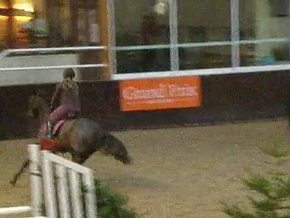 Qadfan Ceridwen Bois le Roi 24.01.10