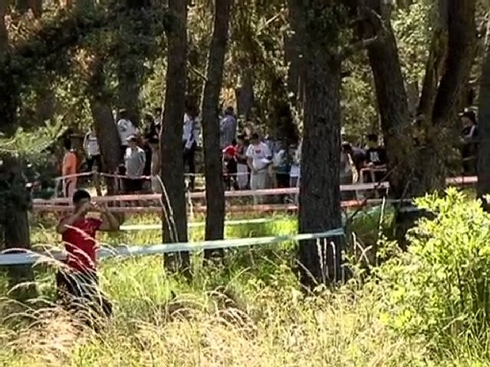 bestof rallye 309 16s lapierre mallet