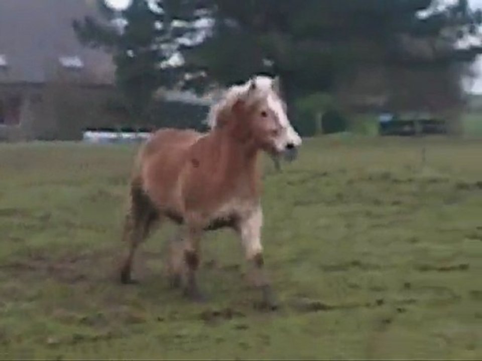 journée marine kenzo & magic & nino & amimoza fleur