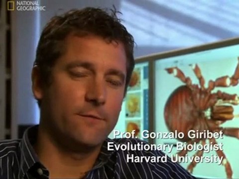 Czysta Nauka - Apokalipsa Ziemi PL