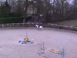 Stage O Billaud ligne III