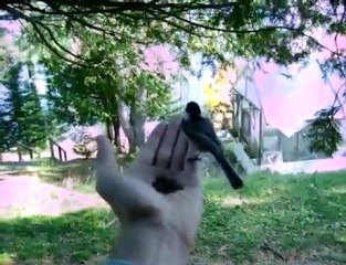 Dépendance affective -  Maison de Thérapie Choix et Réalité