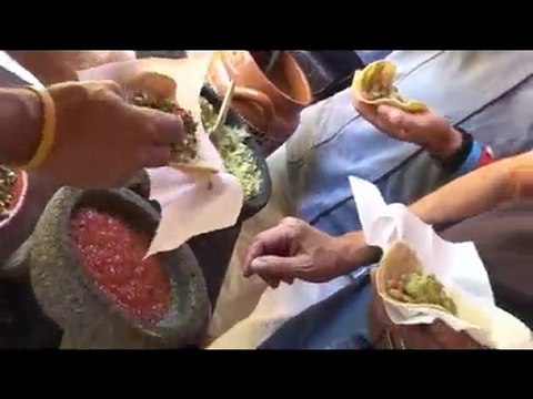 Discover Sierra Madre Puerto Vallarta Mexico