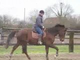 Un petit galop version pro