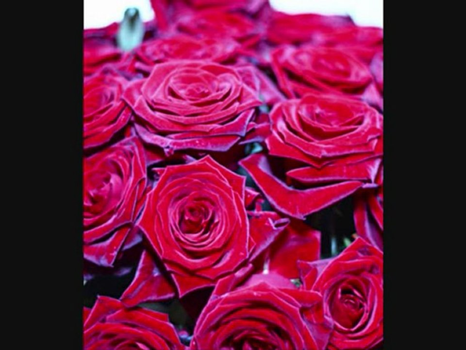 Ma belle Histoire - Mister DadoO