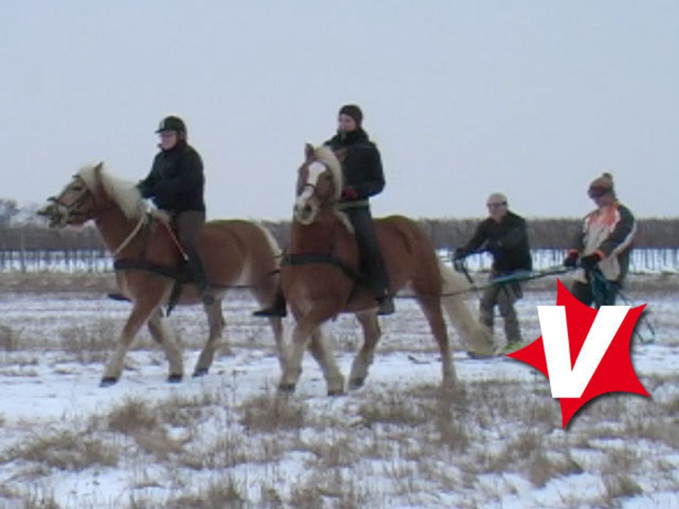 Skijöring im Burgenland am Reiterhof Sonja (2010-001)