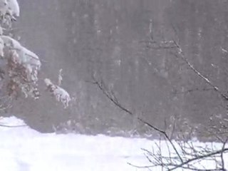 At home for Cape Cod Blizzard of 2009