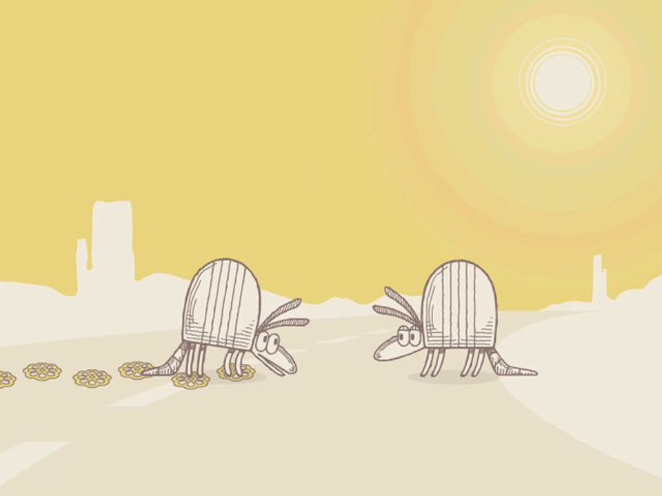 Nature Break - Armadillos #10