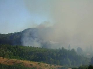 Incendio Forestal camino a Quilcoya (Hualqui)