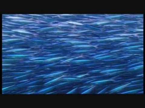 Sur La Terre Des Monstres Disparus 2