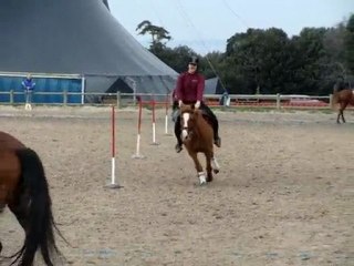 facteur à pastré, stand by