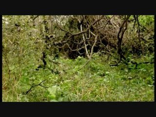 Sur La Terre Des Monstres Disparus 6