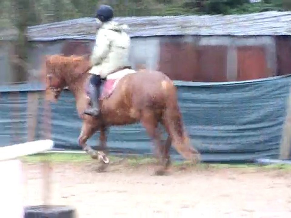 Radja de thouaré, entrainement (Janvier) détente au galop...