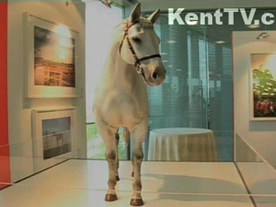 White Horse Controversy