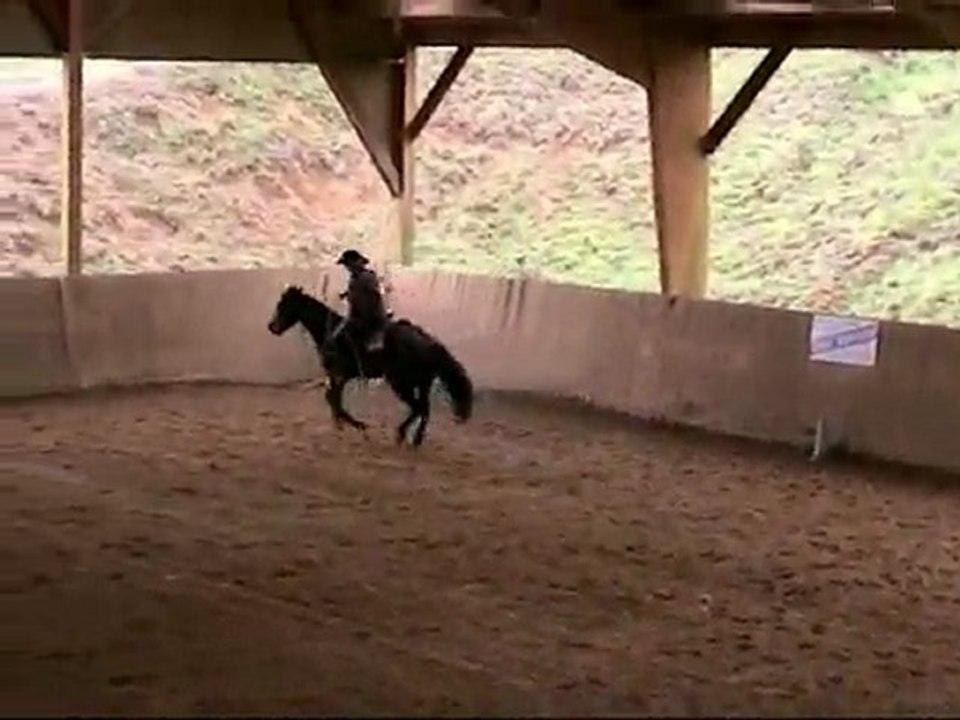 Laetitia & Bar Tuff Docs (reining)