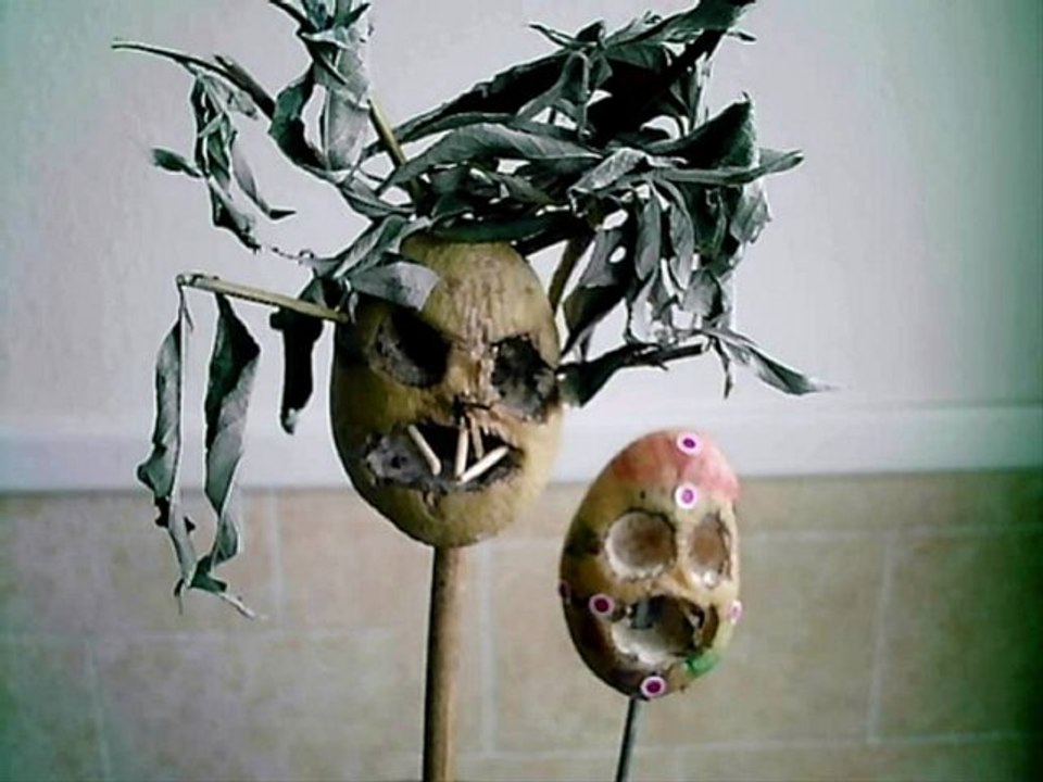 ma 1 ere composition