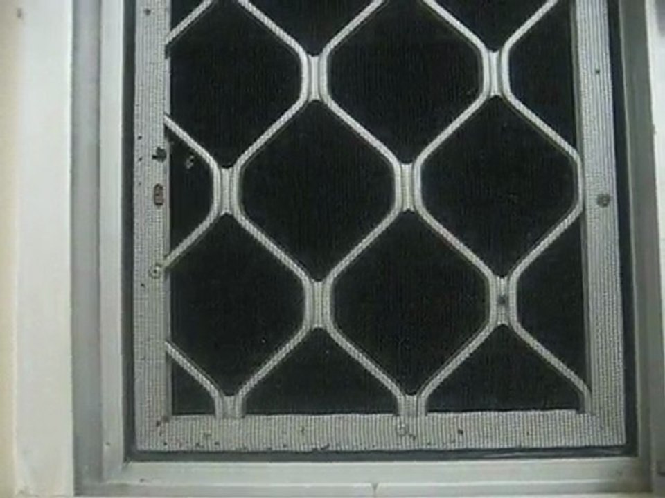 MVI_6975