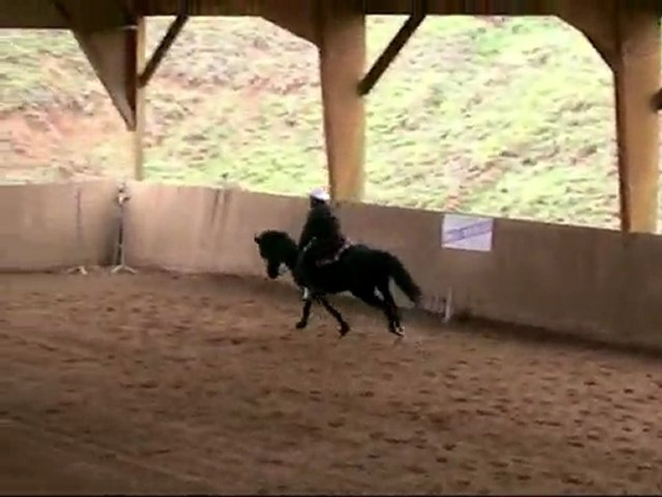 Thierry & Zuppa (reining)