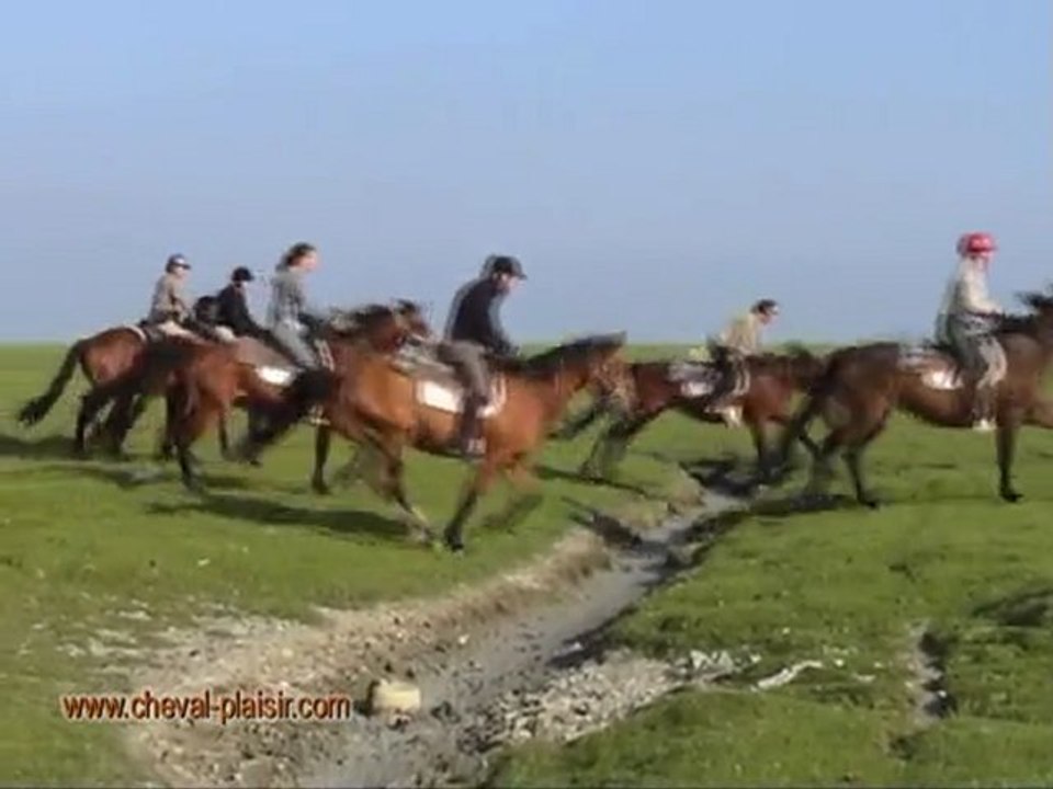 La Baie du Mont Saint Michel a cheval