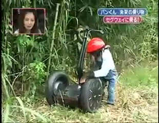 Chimpanzee Pan-Kun rides Segway