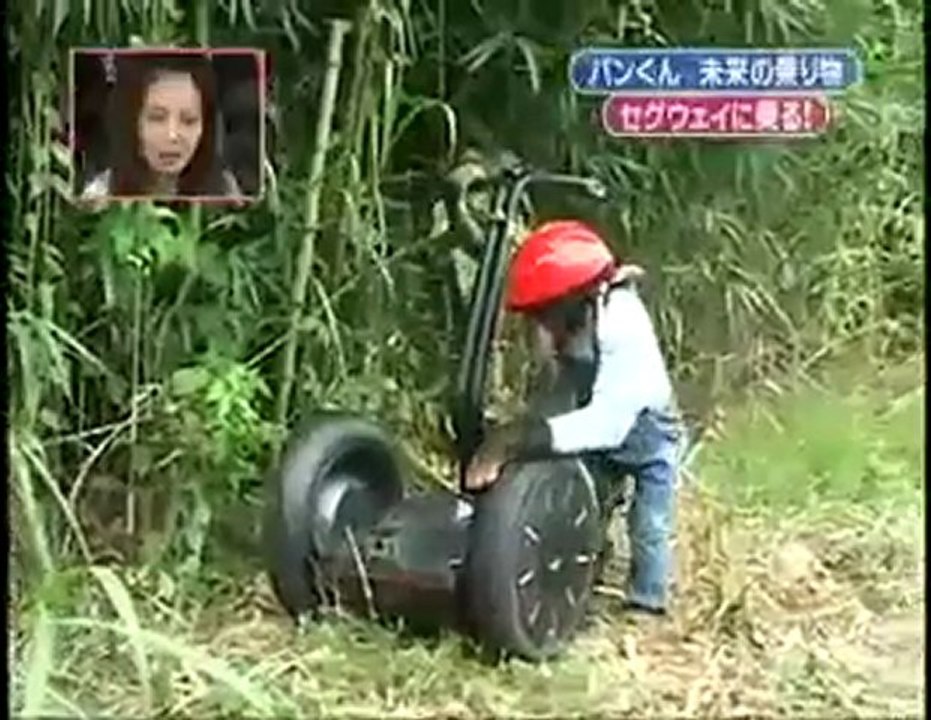 Chimpanzee Pan-Kun rides Segway