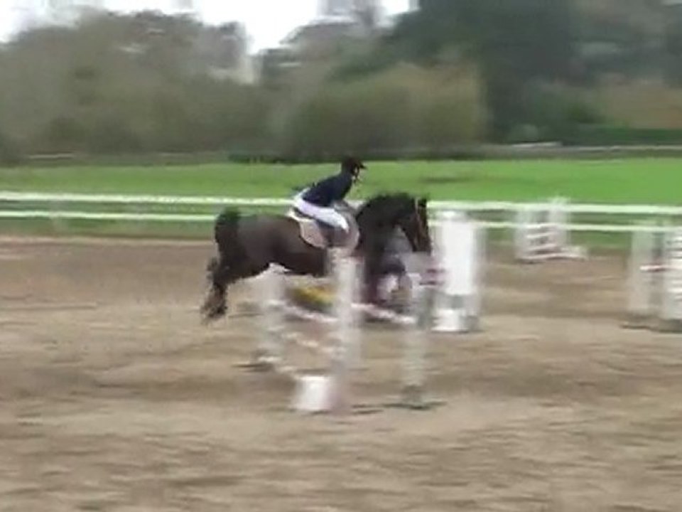 Kavall de Leyrieux & PoOki CSO Caudan Nov. 2009 D3p