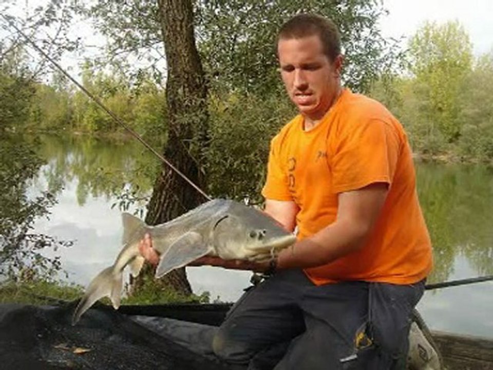 team carpmaniacs