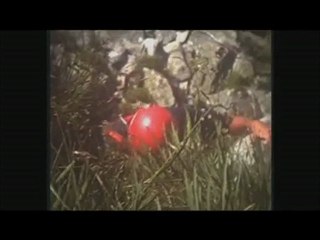 film 3 01 Alpe d huez 1976 escalades