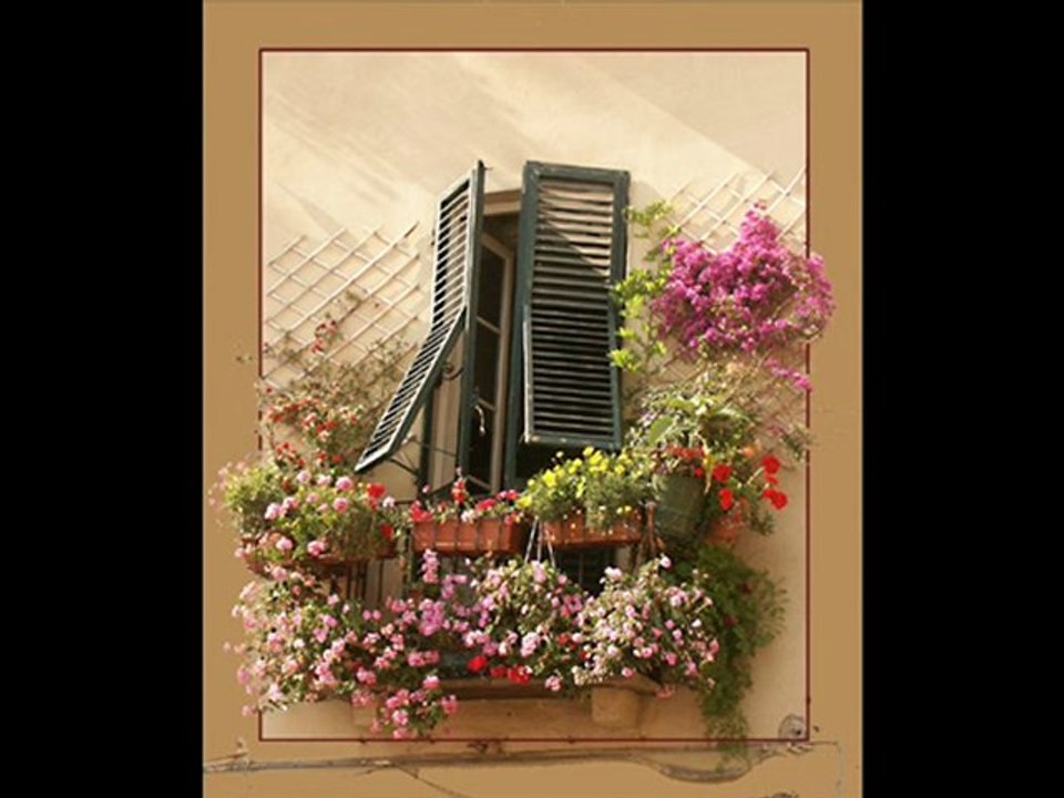 Mavi Gözlü Dev, Minnacık Kadın ve Hanımelleri- Nazım HİKMET