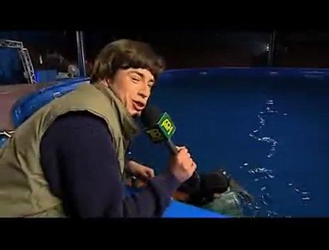 Файна ТВ (Дельфин)