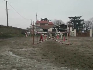 cavaletti avec kaline