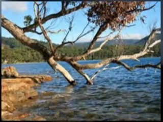 Port Arthur Accommodation-Self Contained Accommodation