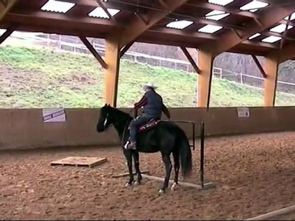 Thierry & zuppa (trail)