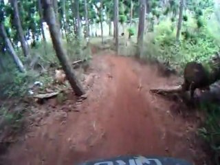 Finale mégavalanche réunion 2009