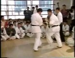 Yamaki Kumite 100 Kyokushin