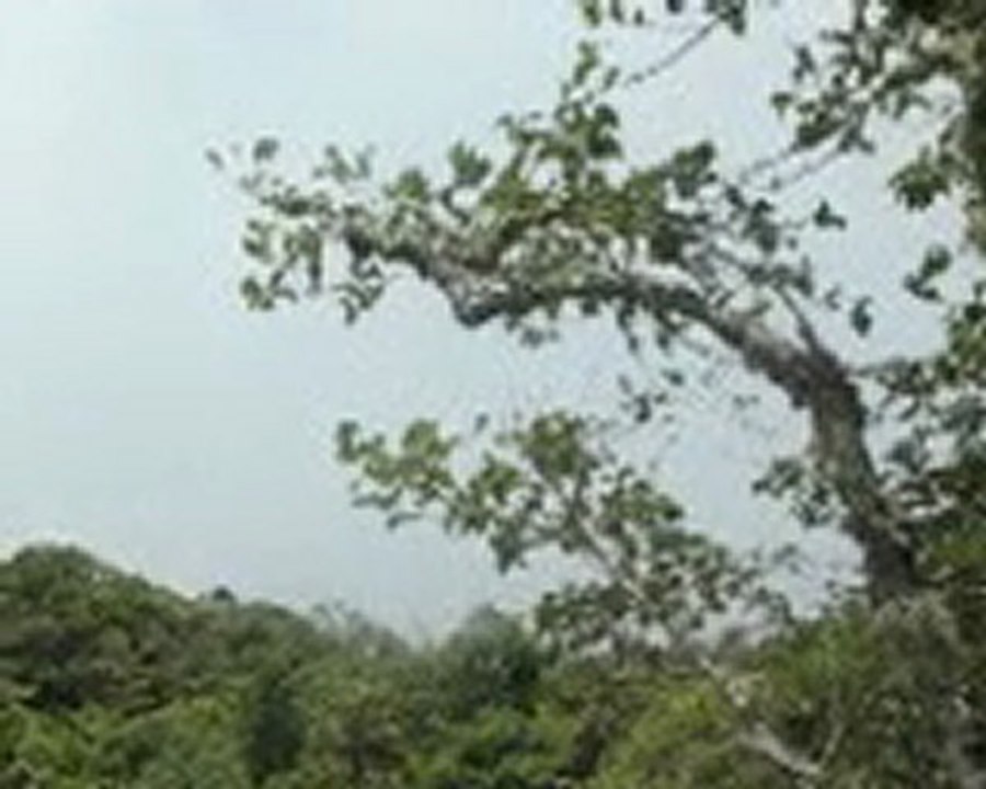 Point de vue depuis El Fuerte