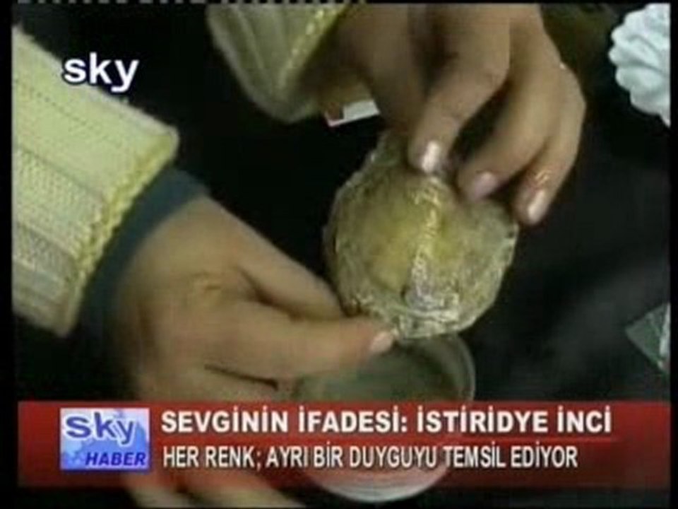TV haberi