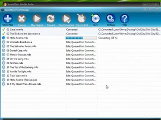 Simple Solution To Remove DRM From WMA