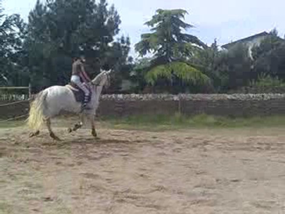 cal