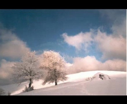 Ewa Dani Sikocińska - Neve