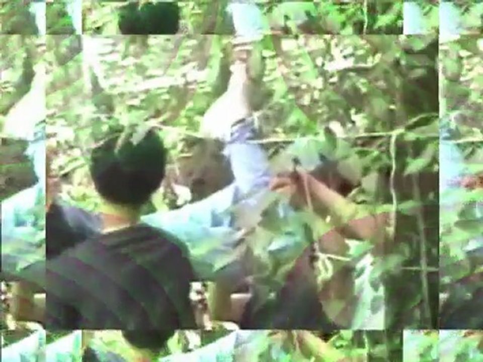 Parque Acuático y Talleres ::: Campamentos Mundo México