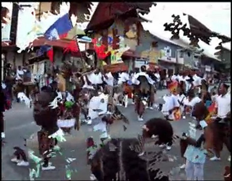 Carnaval 2010 à Saint Laurent du Maroni