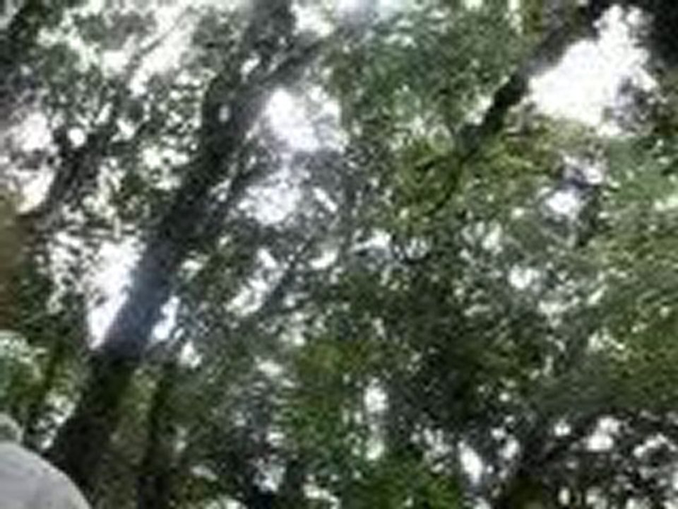 Marche parc Amboro 2