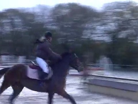 Emma & Romi CSO Pont L'abbé Nov. 2009 D4ponam